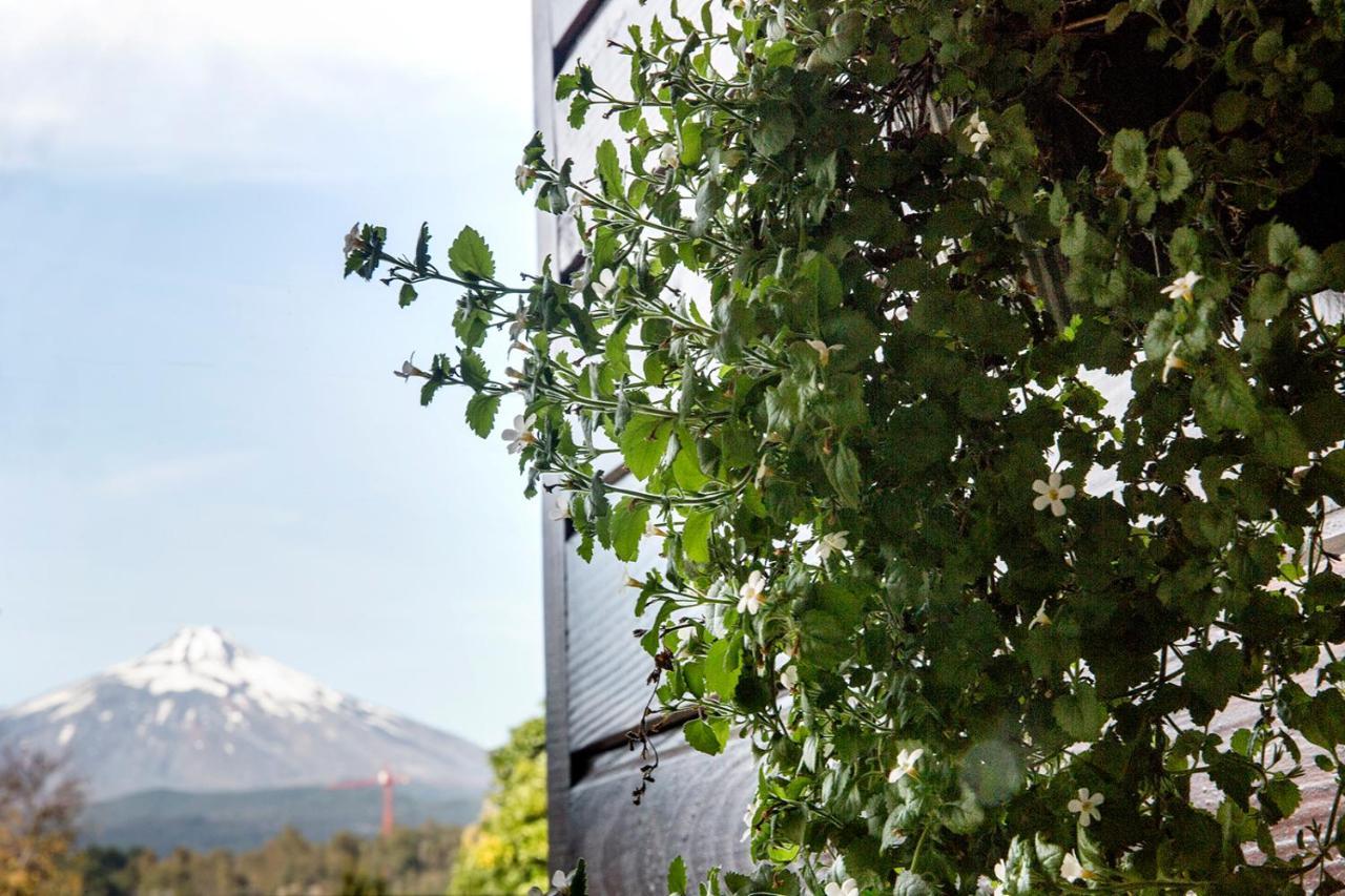 Maki Hotel Pucon Exterior photo